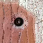 Business 4 image HOMELEES HOUSE Residential & Retirement Homes in Brighton Ea