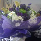 Business 2 image HONEYFLOWER BOOKKEEPING LTD Bookkeeping Services in Harrow Mi