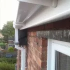 Business 2 image IAN'S PROPERTY MAINTENANCE Woodworking in Washington Ty