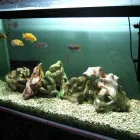 Business 1 image IMDESIGN Advertising & Graphic Designers in Orpington Ke