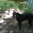 Business 1 image INKY SOLUTIONS Printers & Lithographers in Brighton Ea