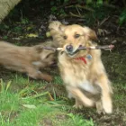 Business 2 image INKY SOLUTIONS Printers & Lithographers in Brighton Ea