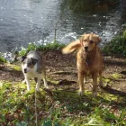 Business 3 image INKY SOLUTIONS Printers & Lithographers in Brighton Ea