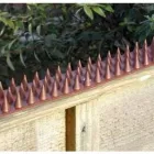 Business 3 image INSIGHT SECURITY Shopping & Retail in Lewes Ea