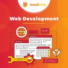 Business 1 image INTELIVITA Web Developers in Leeds We