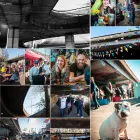 Business 11 image ISABELLE PLASSCHAERT PHOTOGRAPHY Photographic Services in Harrow Gr