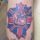 Business 6 image IVERIDGE HEALTH CLUB Health Clubs in Leeds We