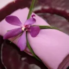 Business 13 image J B GARDENING Garden Services in Hove Ea