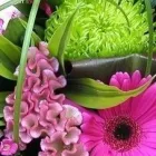 Business 14 image J B GARDENING Garden Services in Hove Ea