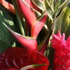 Business 15 image J B GARDENING Garden Services in Hove Ea