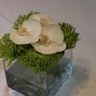 Business 22 image J B GARDENING Garden Services in Hove Ea