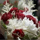 Business 1 image J LAWRENCE & CO.LTD Retail Bakers in Northampton No