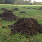 Business 1 image JENKINS MEMORIALS Monumental Masons & Memorials in Bootle Me