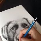 Business 1 image JULIET'S PET PORTRAITS Visual Arts in Hove Ea