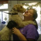 Business 4 image K9 CLIP & SHINE Pets & Animals in Northampton No