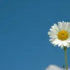 Business 1 image KARIN BLAK Counselling & Advice in Northampton No