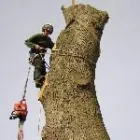 Business 2 image KARTIK MUSIC Music Teachers in Wembley Mi