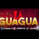 Business 1 image LA GUAGUA TV Entertainers in London Gr