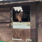 Business 8 image LANDGUARD LTD Pest & Animal Control in OTLEY We