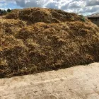 Business 10 image LANDGUARD LTD Pest & Animal Control in OTLEY We