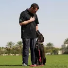 Business 3 image LEEDS DOG SCHOOL Pets & Animals in Leeds We