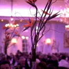 Business 1 image LIGHT STUDIO HIRE, PHOTO & VIDEO STUDIO Photography Studios & Labs in London Gr