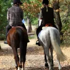 Business 2 image LITTLE JOHN PADDOCKS Sports & Recreation in Nottingham No