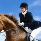 Business 4 image LITTLE JOHN PADDOCKS Sports & Recreation in Nottingham No