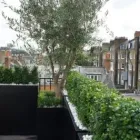 Business 2 image LONDON PLANTERS Landscape Architects & Designers in London Gr