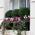 Business 3 image LONDON PLANTERS Landscape Architects & Designers in London Gr