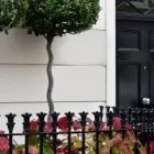 Business 4 image LONDON PLANTERS Landscape Architects & Designers in London Gr