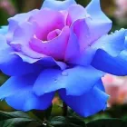 Business 1 image MARK HALBERT - BODY-MIND-HEART THERAPY Personal Services in Nottingham No