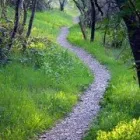 Business 3 image MARK HALBERT - BODY-MIND-HEART THERAPY Personal Services in Nottingham No