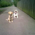 Business 1 image MAX SPIELMANN - WASHINGTON, THE GALLERIES Printing Services in Washington Ty