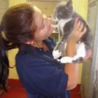 Business 5 image MELANIE CURTIS DANCE STUDIOS Dancing Schools in Northampton No