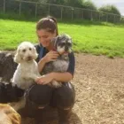 Business 6 image MELANIE CURTIS DANCE STUDIOS Dancing Schools in Northampton No