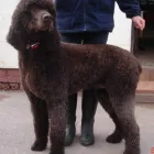 Business 7 image MELANIE CURTIS DANCE STUDIOS Dancing Schools in Northampton No