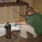 Business 3 image MERLIN ENVIRONMENTAL Pest & Animal Control in Carshalton Su