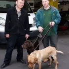 Business 5 image MERLIN ENVIRONMENTAL Pest & Animal Control in Carshalton Su