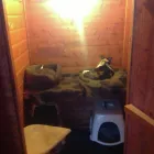 Business 14 image MILFORD MIEWS CATTERY Catteries in Liverpool Me