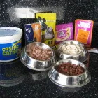 Business 15 image MILFORD MIEWS CATTERY Catteries in Liverpool Me