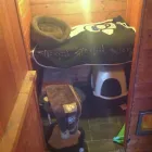 Business 6 image MILFORD MIEWS CATTERY Catteries in Liverpool Me