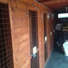 Business 7 image MILFORD MIEWS CATTERY Catteries in Liverpool Me