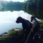 Business 9 image MISTER PAWS Pets & Animals in Plymouth De