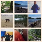 Business 24 image MISTER PAWS Pets & Animals in Plymouth De