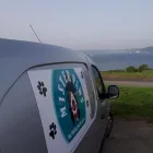 Business 44 image MISTER PAWS Pets & Animals in Plymouth De