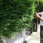 Business 1 image MITCHAM EXPERT GARDENERS Landscapers in London Gr