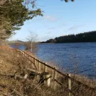 Business 5 image MNICH DESIGN ASSOCIATES Advertising & Graphic Designers in Brighton Ea