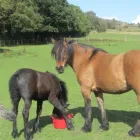 Business 2 image MNICH DESIGN ASSOCIATES Advertising & Graphic Designers in Brighton Ea