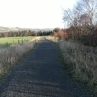 Business 4 image MNICH DESIGN ASSOCIATES Advertising & Graphic Designers in Brighton Ea